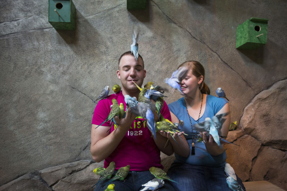 New SeaQuest Interactive Aquarium opens in Layton Hill Mall News